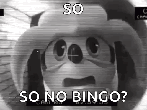 A Black And White Image Of A Cartoon Character With The Words `` So No Bingo '' . GIF