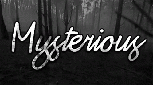 A Black And White Image Of A Forest With The Word Mysterious Written In White GIF