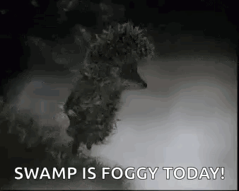 A Black And White Image Of A Hedgehog In The Fog With The Words `` Swamp Is Foggy Today '' . GIF