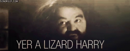 a black and white image of a man with a beard and the words yer a lizard harry .