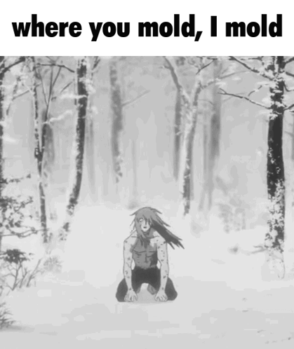 A Black And White Image Of A Person Kneeling In The Snow With The Words Where You Mold I Mold GIF