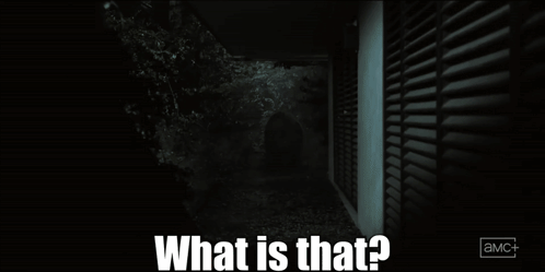 A Black And White Image With The Words What Is That On It GIF