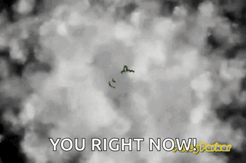 A Black And White Image With The Words You Right Now On It GIF