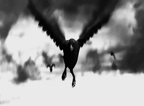 A Black And White Painting Of A Bird Flying Through The Air GIF