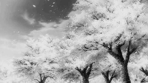 A Black And White Painting Of Cherry Blossom Trees GIF