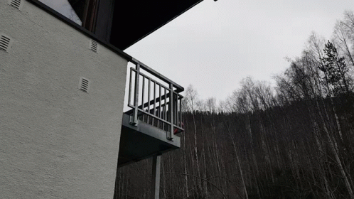 A Black And White Photo Of A Balcony Overlooking Trees GIF
