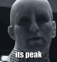 A Black And White Photo Of A Bald Man With The Words `` It 'S Peak '' On His Face . GIF