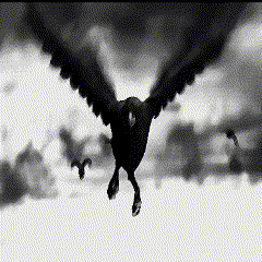 A Black And White Photo Of A Bird Flying In The Clouds GIF