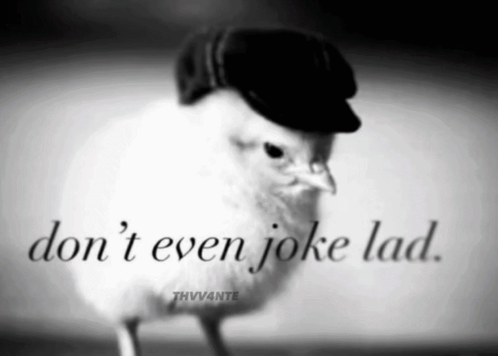 A Black And White Photo Of A Bird Wearing A Hat With The Words " Don 'T Even Joke Lad " GIF