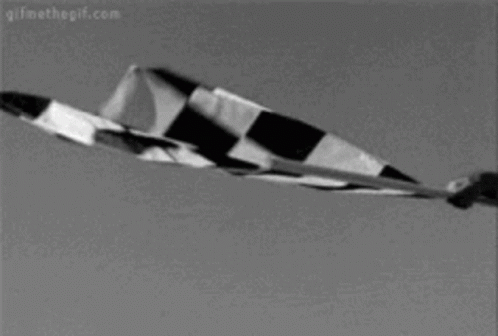 A Black And White Photo Of A Black And White Checkered Flag Flying In The Wind . GIF