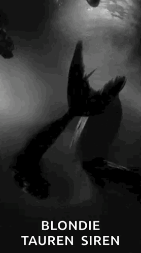 A Black And White Photo Of A Blonde Tauren Siren In The Water . GIF