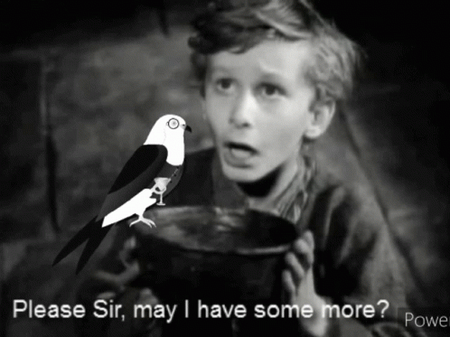 A Black And White Photo Of A Boy And A Bird With The Caption " Please Sir May I Have Some More Poe " GIF