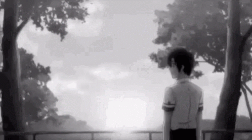 A Black And White Photo Of A Boy Standing In Front Of A Fence Looking At The Sun . GIF