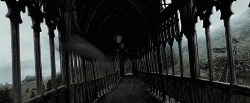 A Black And White Photo Of A Bridge With A Lot Of Windows And A Person Walking Down It . GIF