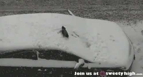 A Black And White Photo Of A Car Covered In Snow And The Words Join Us At Sweety High.com GIF