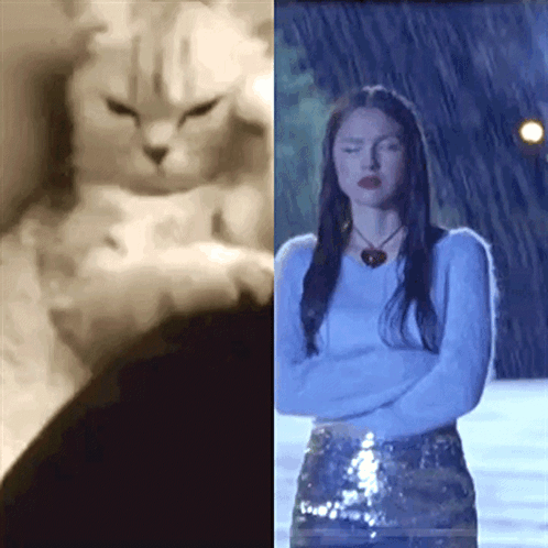 A Black And White Photo Of A Cat And A Woman With Their Arms Crossed GIF