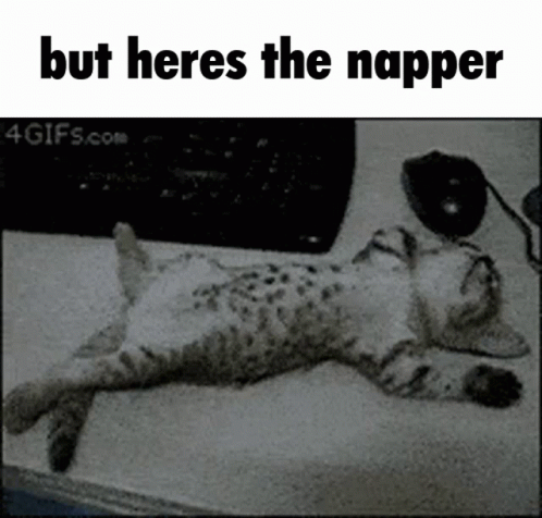 A Black And White Photo Of A Cat Laying On A Table With The Caption But Heres The Napper GIF