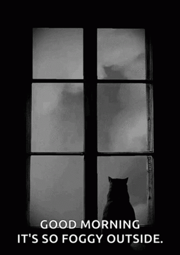 A Black And White Photo Of A Cat Looking Out A Window With The Caption Good Morning It 'S So Foggy Outside . GIF
