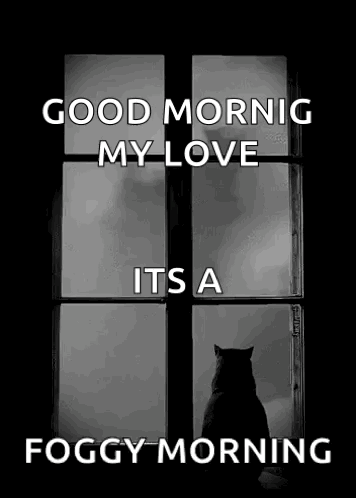 A Black And White Photo Of A Cat Looking Out A Window With The Words `` Good Morning My Love Its A Foggy Morning '' . GIF