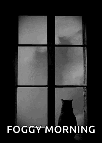 A Black And White Photo Of A Cat Looking Out Of A Window With Foggy Morning Written Below It GIF
