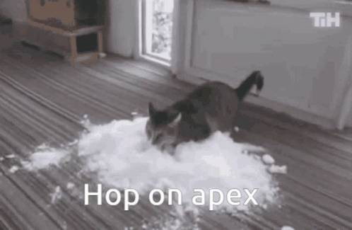 A Black And White Photo Of A Cat Playing In A Pile Of Snow . GIF