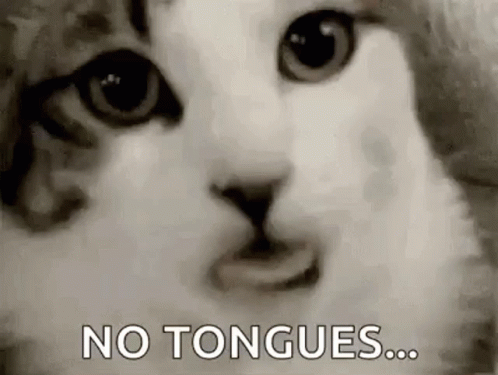 A Black And White Photo Of A Cat 'S Face With The Words `` No Tongues ... '' Written On It . GIF