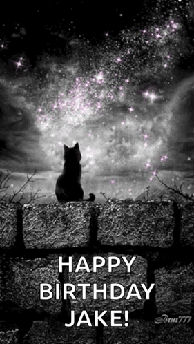 A Black And White Photo Of A Cat Sitting On A Stone Wall Looking At The Stars . GIF