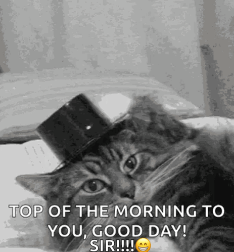 A Black And White Photo Of A Cat Wearing A Top Hat GIF