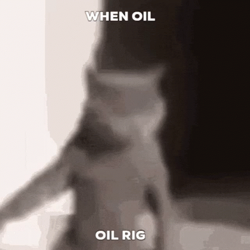 a black and white photo of a cat with the caption when oil oil rig .