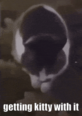 A Black And White Photo Of A Cat With The Words Getting Kitty With It GIF