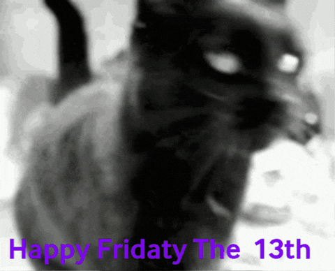 A Black And White Photo Of A Cat With The Words Happy Friday The 13Th GIF