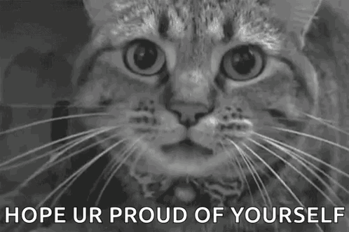 A Black And White Photo Of A Cat With The Words `` Hope Ur Proud Of Yourself '' Above It . GIF