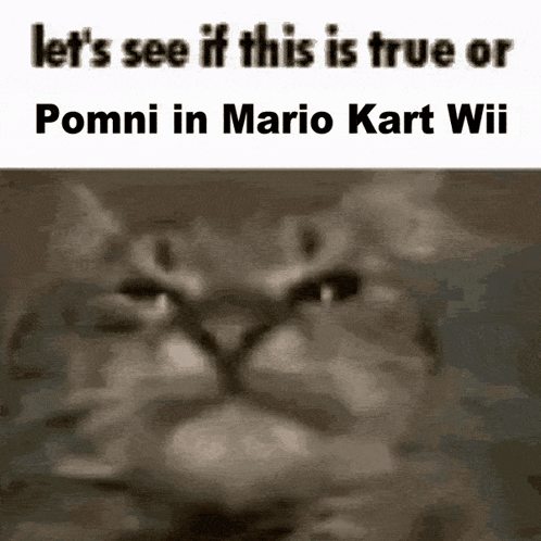 A Black And White Photo Of A Cat With The Words Let 'S See If This Is True Or Pommi In Mario Kart Wii GIF