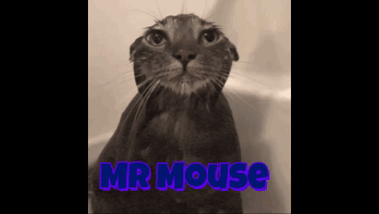 A Black And White Photo Of A Cat With The Words Mr Mouse On The Bottom GIF
