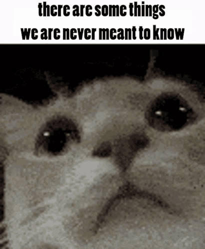 A Black And White Photo Of A Cat With The Words There Are Some Things We Are Never Meant To Know GIF