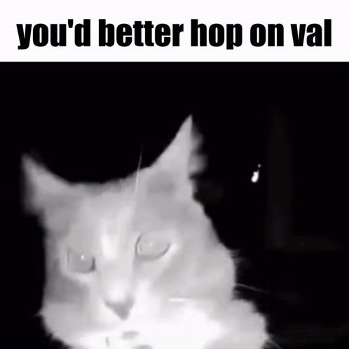A Black And White Photo Of A Cat With The Words " You 'D Better Hop On Val " Above It GIF