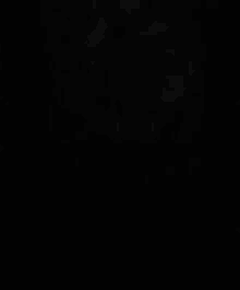 A Black And White Photo Of A Cat With The Words You Didnt Hop On Beki Strem GIF