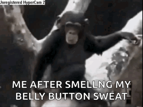 A Black And White Photo Of A Chimpanzee With The Words `` Me After Smelling My Belly Button Sweat '' GIF