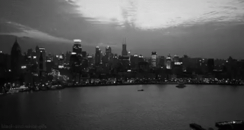 A Black And White Photo Of A City Skyline And A Lake GIF