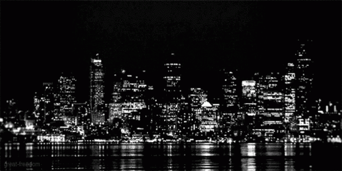 A Black And White Photo Of A City Skyline At Night Taken By Great-Freedom GIF