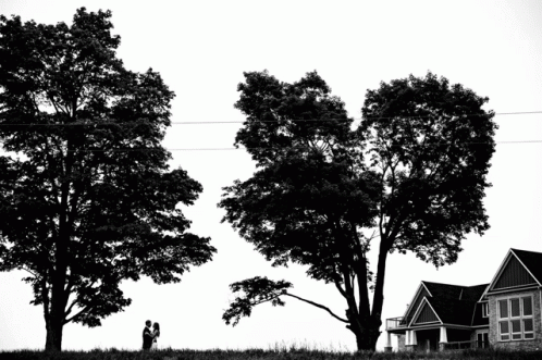 A Black And White Photo Of A Couple Standing Under Trees GIF