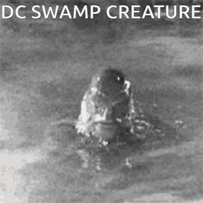 a black and white photo of a creature in the water with the caption `` dc swamp creature '' .