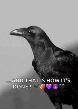 A Black And White Photo Of A Crow With Emojis Around Its Neck And The Words `` And That Is How It 'S Done ! '' GIF