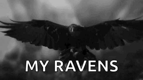 A Black And White Photo Of A Crow With Its Wings Spread And The Words `` My Ravens '' Written Below It . GIF