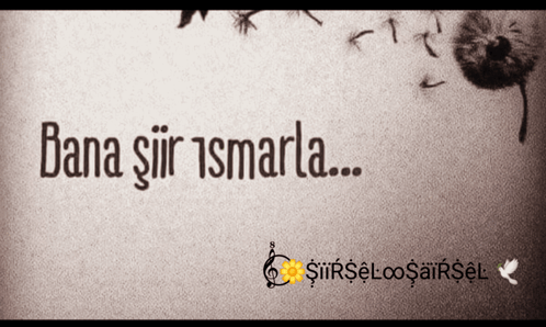 A Black And White Photo Of A Dandelion With The Words Bana Şir Ismarla GIF