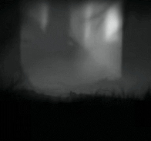 A Black And White Photo Of A Dark Forest With Trees In The Background GIF