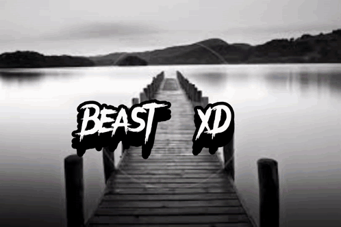 A Black And White Photo Of A Dock With The Words Beast Xd Written On It GIF