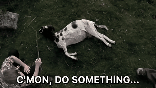 A Black And White Photo Of A Dog Laying On The Ground With The Caption C Mon Do Something GIF