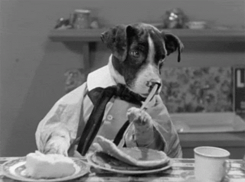 A Black And White Photo Of A Dog Wearing A Tie Eating Pancakes . GIF