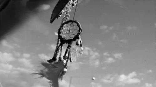 A Black And White Photo Of A Dream Catcher Hanging From A Tree With A Cloudy Sky In The Background . GIF